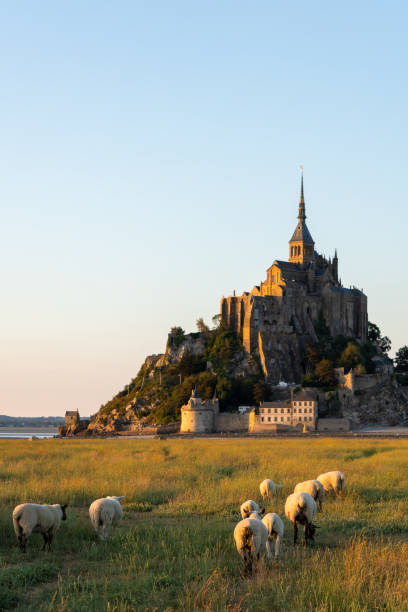 Mont-Saint-Michel à 25 min du gîte Chez Pépé Lucien