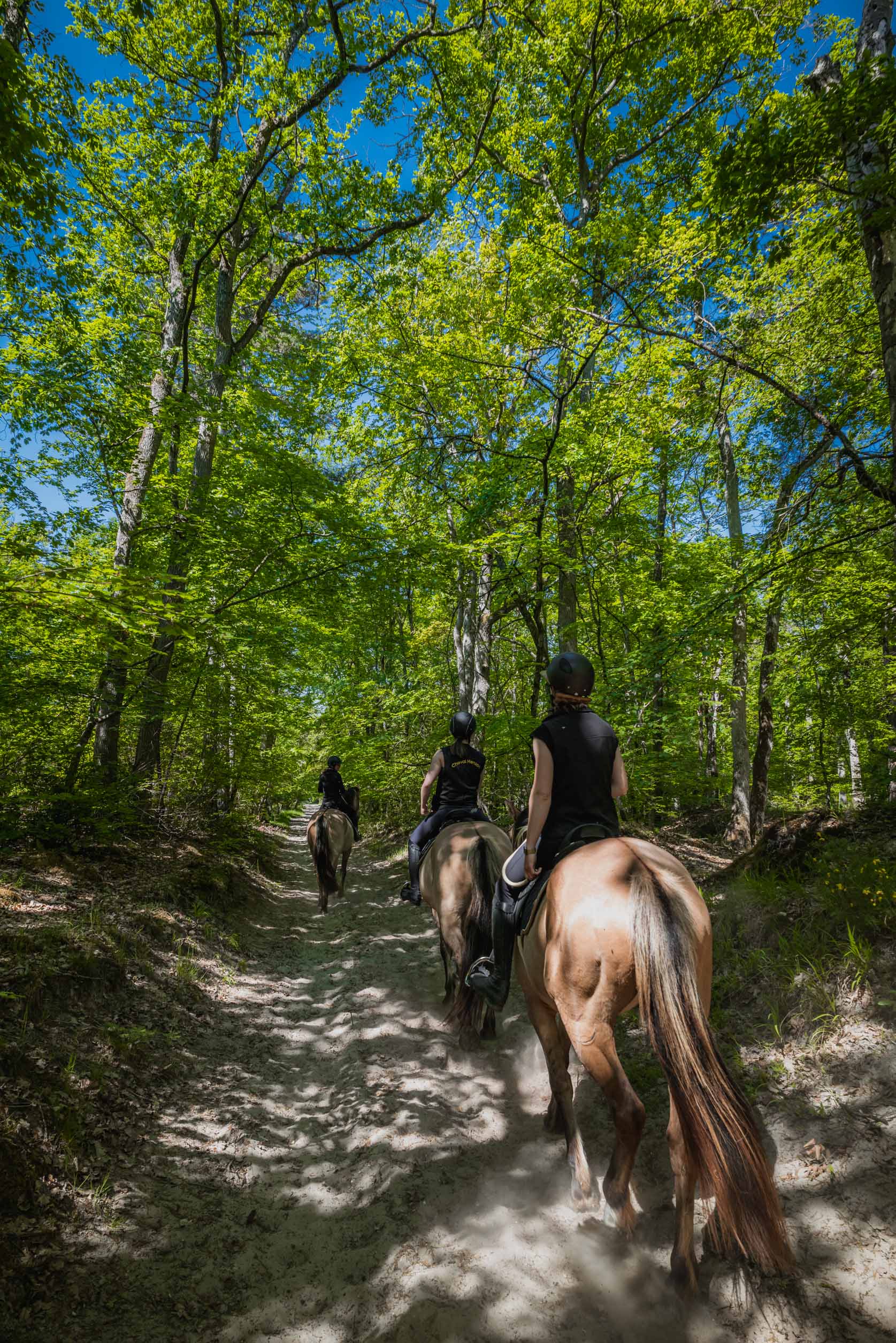 Balade à cheval près du gîte Chez Pépé Lucien